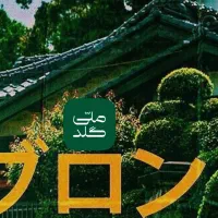 کد هدیه 5 سوتی ملی گلد