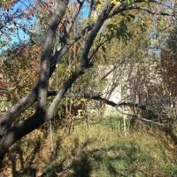 باغ ۵۰۰ متری سرسبز دوکله با ۳۰ متر بنا واستخر|فروش خانه و ویلا|شهریار, کرد امیر|دیوار