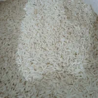 برنج طارم دیره