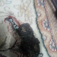 فروش سنگ قیمتی