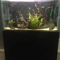 آکواریوم فول 06*100 با پایه