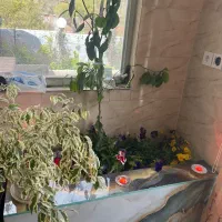 برقکاری ساختمان
