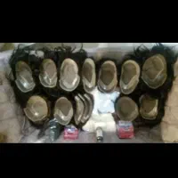 پروتز مو ترمیم|خدمات آرایشگری و زیبایی|اندیشه, اندیشه فاز ۱|دیوار