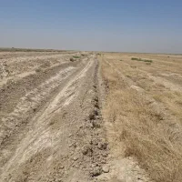 اجاره-زمین-کشاورزی