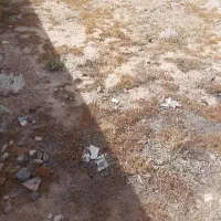 زمین ۱۵۰متربندرلنگه