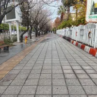 راهنمایی میکنم