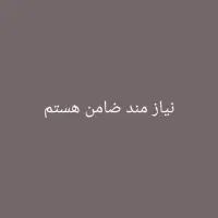 ضامن میخوام