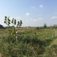 هزار مترزمین مسکونی نیازمالی شدید بشتابید