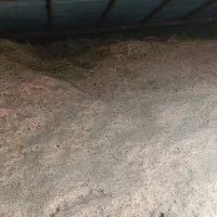 سلام فروش کاه درجه یک