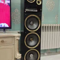 اسپیکر بزرگ میکرولب