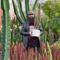 گلدون خالی از شما. گیاه رایگان از ما