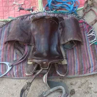 زین اسب سواری.کله گیر.لقام یادهنی.زین بهاره.عرقگیر|اسب و تجهیزات اسب‌سواری|صحنه, |دیوار