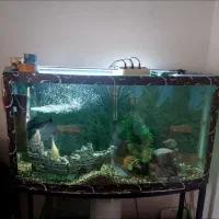 فروش آکواریوم شیشه خم ۱.۲۰ با پایه و وسایل