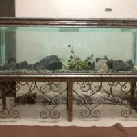 فروش اکواریوم