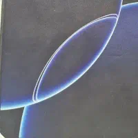 آیفون 16 پرو مگس مشکی