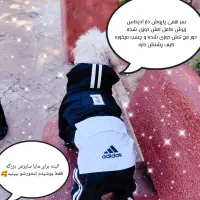 لباس سگ|لوازم جانبی حیوانات|ری, دولتآباد|دیوار