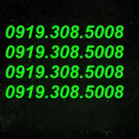 0919.308.5008