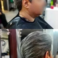 مدل کوتاهی بانوان