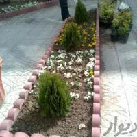 خاک باغچه و باغ مرغوب و حاصل خیز|خدمات باغبانی و درختکاری|شیراز, قصرالدشت|دیوار