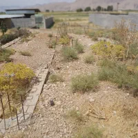 زمین ساختمانی|فروش زمین و ملک کلنگی|درودزن, |دیوار