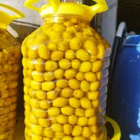 زیتون شور|خوردنی و آشامیدنی|استهبان, |دیوار