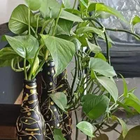 شهرک میانرود خیابان نسترن طبقه دوم ۱۶۰متری