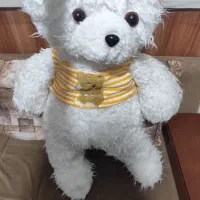 عروسک بزرگ شاسخین