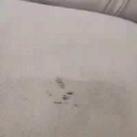 مبل شیش نفره|مبلمان خانگی و میز عسلی|تهران, پونک|دیوار