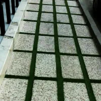 کاشیکاری ..بنایی ..چمن مصنوعی|خدمات پیشه و مهارت|گرگان, |دیوار