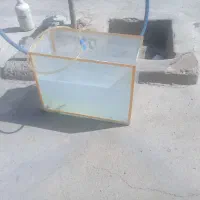 اکواریوم
