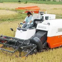 دو عدد کمباین آماده برداشت