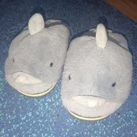 دمپایی انگشتی پاپوش حمام