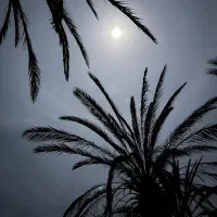 اجاره ۱خواب ماهیانه و روزانه