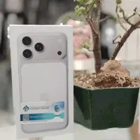 ایفونza ۱۷ پرو ماکس ۲۵۶