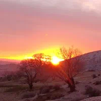 مسافر جوانرود