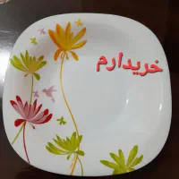 سرویس آرکوپال