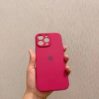 قاب ۱۶ پرو مکس