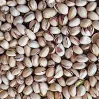 فروش پسته اکبری وکله قوچی با قیمت مناسب|خوردنی و آشامیدنی|شیراز, کوشک میدان|دیوار