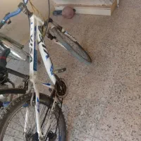 دوچرخه ۲۴|دوچرخه، اسکیت، اسکوتر|اهواز, شهرک دانشگاه|دیوار