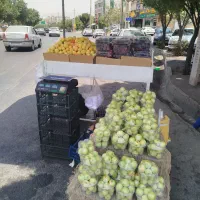 سازه میوه فروشی