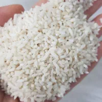 نیم دانه هاشمی محصول آستانه