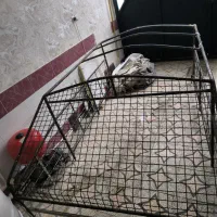 چادر و میله رو اتاقی