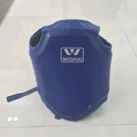 هوگو رزمی ووشو ساندا