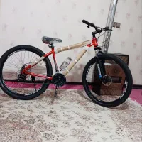 دوچرخه اورلورد 29