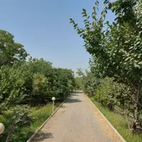 زمین ۱ هکتاری/در هشتگرد/ انواع درختان میوه/نگهبانی|فروش زمین و ملک کلنگی|هشتگرد, تهران دشت|دیوار