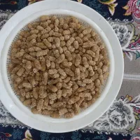 توت مشهدی دانه درشت