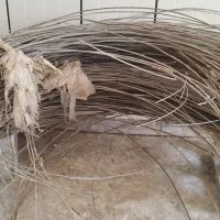 سیم باغی|خدمات باغبانی و درختکاری|رامشیر, |دیوار