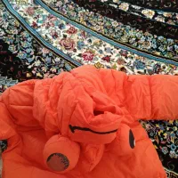 آگهی بخون ضرر نمیکنی|کفش و لباس بچه|دورود, |دیوار