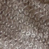 چادر و پارچه گیپور|لباس|شاهین‌شهر, گزبرخوار|دیوار