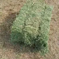 یونجه